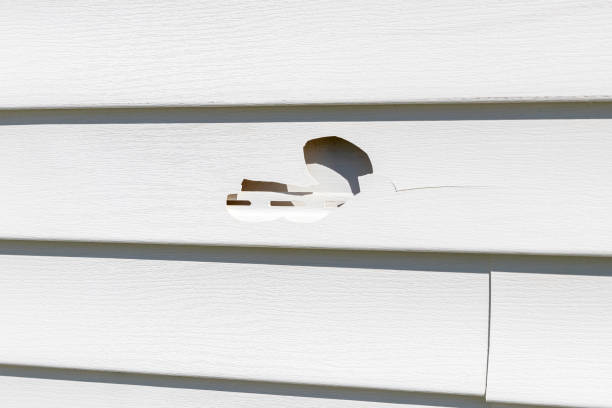 Siding Removal and Disposal in Spring Valley, AZ